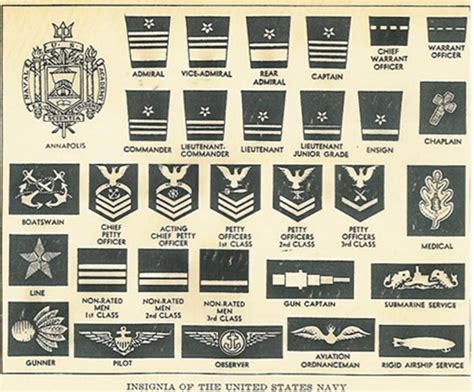 7 Best Images Of Navy Rank Chart Printable United States Navy Rank