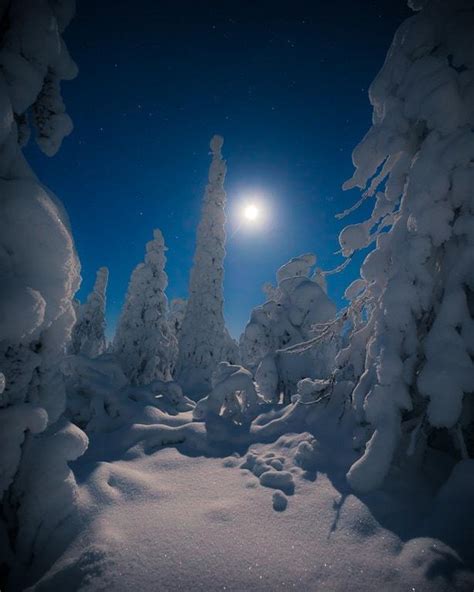 15 Incredible Lapland Pictures That Inspire You