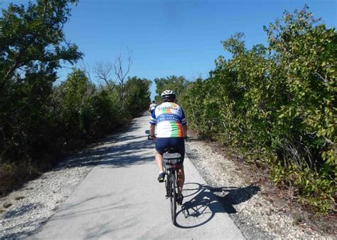 Bicycle Tour In Florida Keys And Everglades Sojourn