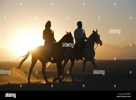 Two Riders On Arabian Sunset Hi Res Stock Photography And Images Alamy