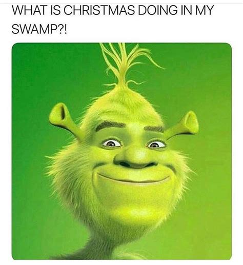 Shrek Wazowski Shrek Shrek Shrek Memes Funny Throw Pi Vrogue Co