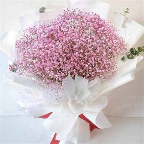 Pink Baby Breath Bouquet Best Flower Bouquet For Girlfriend