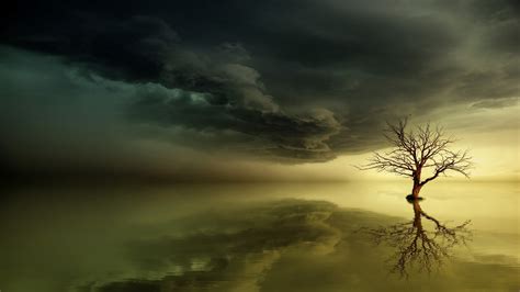 1920x1080 Water Fantasy Tree Cloud Johannes Plenio Reflection
