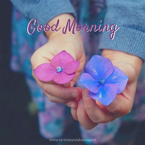 Good Morning Blue And Purple Flowers Pictures Photos And Images For