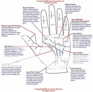 Uncover Palmistry Lines Meaning Now Easily Uncover Palmistry Lines