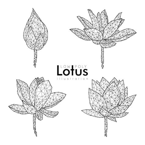 Premium Vector Low Poly Line Lotus Flower Set Hand Drawn Illustration