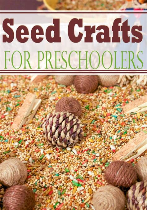 Preschoolers Will Love These 3 Fun Activities With Seeds Life Over Cs