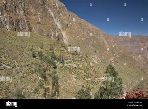 Desert Scenery In The Immense Colca Canyon Cabanaconde Peru Stock