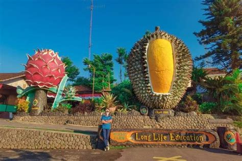 Berapa harga tiket masuk merapi park 2021 ? Harga Tiket Masuk Selabintana 2021 / Pondok Halimun ...