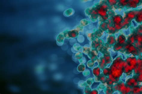 Nanotech Strategy Shows Promise For Treating Autoimmune Disease — Nano
