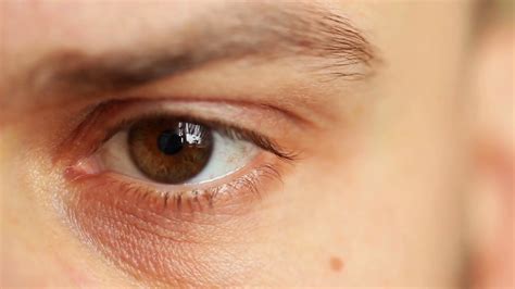 Extreme Close Up Of Brown Eye Stock Footage Sbv 306335819 Storyblocks