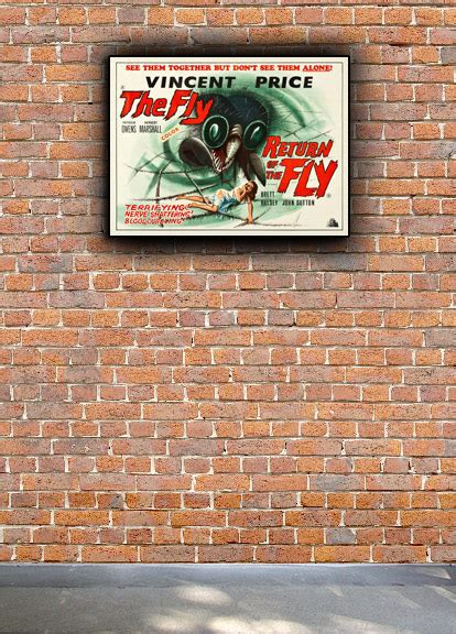 The Fly And Return Of The Fly 1960s Old Vintage Horror Movie Poster