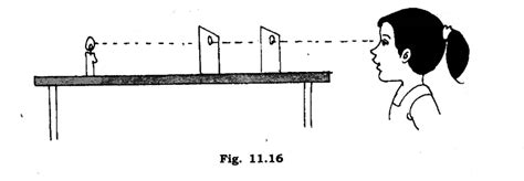 This fork of backbone converts it to es6 and provides extension through constructor injection for easy modification. NCERT Solutions for Class 6 Science Chapter 11 Light ...