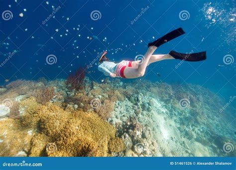 Woman Snorkeling Stock Photo Image Of Pacific Ocean 51461526