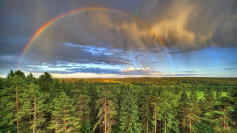 Rainbow Forest Wallpapers Top Free Rainbow Forest Backgrounds