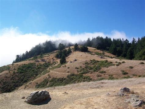 Escape to this secluded getaway on the western frontier. The Top 10 Things to Do in Mill Valley - TripAdvisor ...