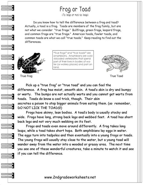 reading informational text worksheets text features worksheet 2nd grade reading worksheets