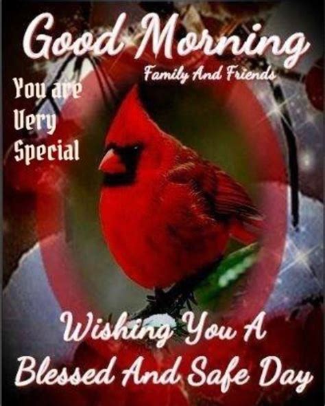 Pin By Tonya Beasley On Cardinals Happy Morning Quotes Morning