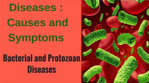 Diseases Bacterial And Protozoan Diseases Youtube