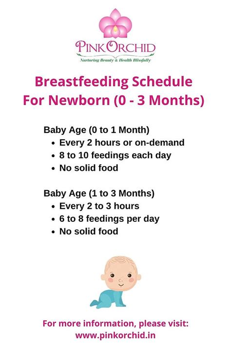 Breastfeeding Schedule By Age Peacecommission Kdsg Gov Ng