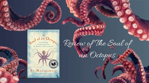Book Review 1 The Soul Of An Octopus Youtube