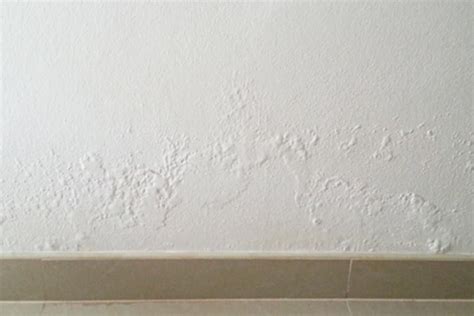 How To Treat Damp Walls A Complete Guide Advanced Damp