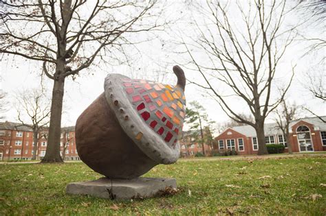 Giant Acorn Art Art Department Blog