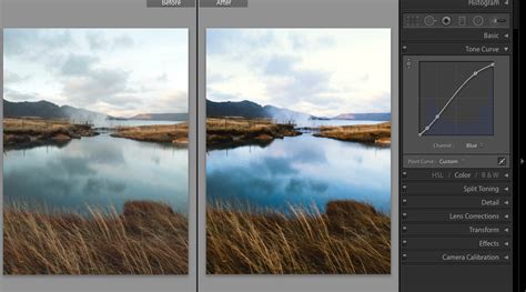 The tone curve is a visual way of adjusting the lightness of tones (and colors) in your image. How to Properly Use the Tone Curve in Adobe Lightroom ...