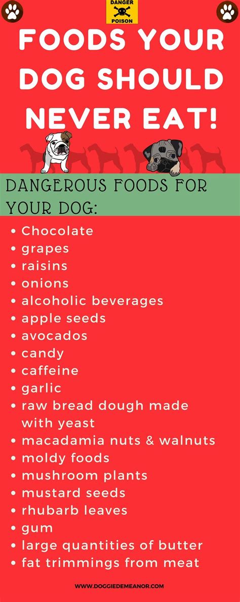 Fresh veggies make tremendous diabetic dog treats like carrots, broccoli, cauliflower, string beans, leafy vegetables, cucumber, and alpha sprouts. What Foods Are Bad For Dogs? | DoggieDemeanor.com | Toxic ...