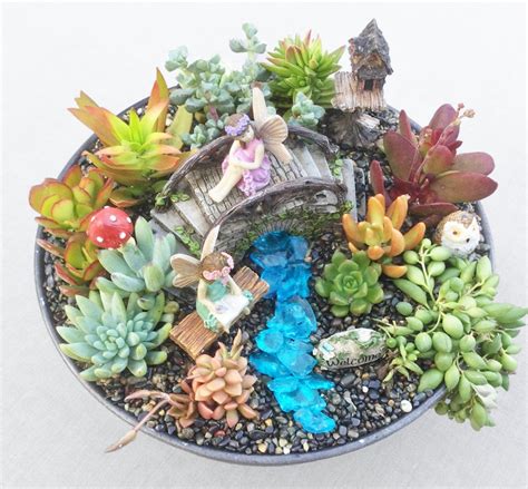 Large Diy Succulent Fairy Garden T Kit With Brushed Metal Etsy