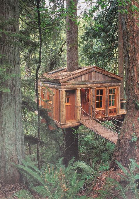 The views are fantastic, and the laid back atmosphere makes your cares float away on a gentle mountain breeze. Terrierman's Daily Dose: A Cabin in the Woods