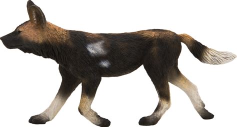 Mojo African Hunting Dog Mojo Import For Kids Aps