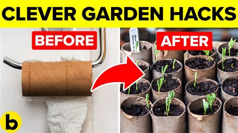 17 Clever Garden Hacks That You Should Know Youtube