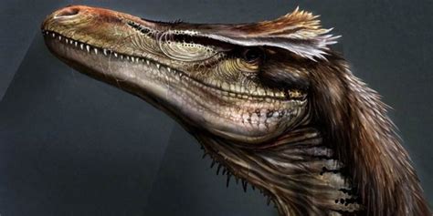 The Largest Raptors Dromaeosaurs Top 10