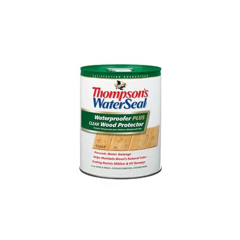 Thompsons Waterseal Waterproofer Plus Clear Wood Protector At