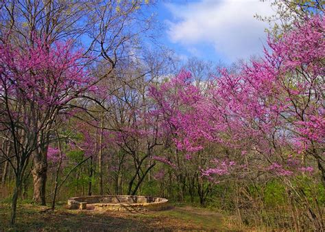 We did not find results for: Sites & Attractions - Lincoln Memorial Garden & Nature Center