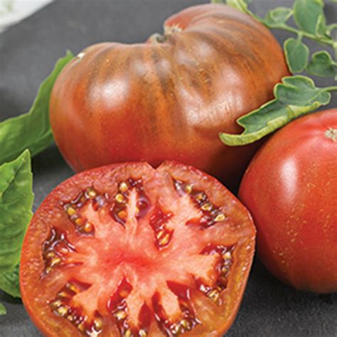 Chefs Choice Purple Hybrid Tomato Large Tomato Variety Seeds Totally