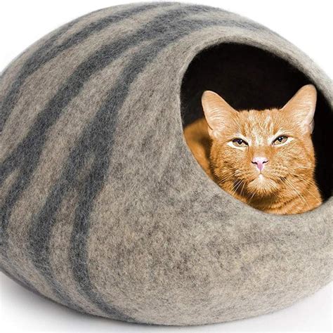 Get The Best Enclosed Cat Bed So That Your Loved Ones Will Feel Safe
