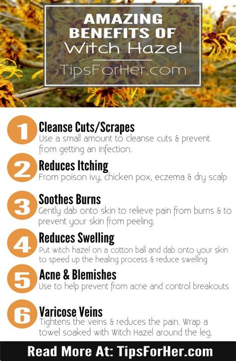 There are many unknown witch hazel uses and benefits. Healing Benefits of Using With Hazel