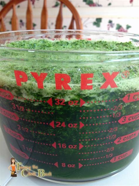 Jul 23, 2020 · when mixing color, always mix a small amount of color to experiment. How to Make Natural Green Food Coloring | Green food ...