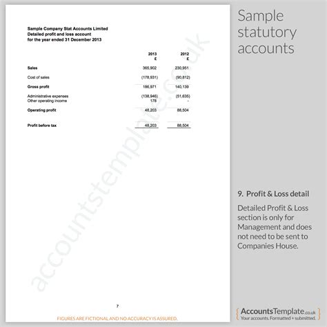 guide   statutory accounts format accounts template