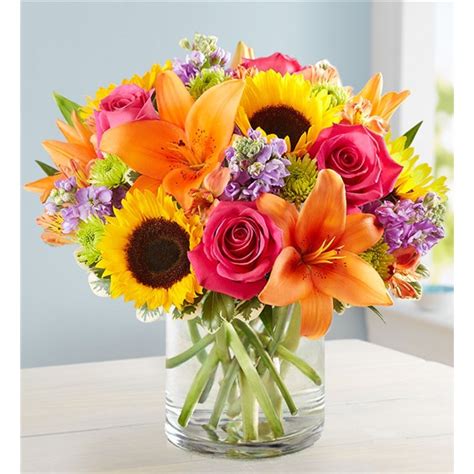 The list below includes the cities that the us post office accepts for zip code 34211. John Mirams: Florist Bradenton Fl 34211 - Saddle Creek ...