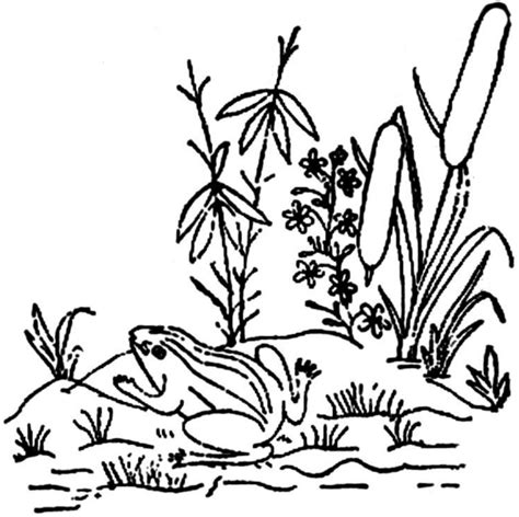 Swamp Art Coloring Pages