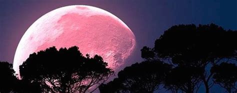 Este mes tendremos la oportunidad de ver la súper luna rosa de abril 2020. AstroCiencias Ecuador: Calendario Lunar Mes Abril 2020 ...