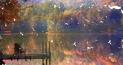 Vermont Autumn Pond Photograph By Sherman Perry Fine Art America
