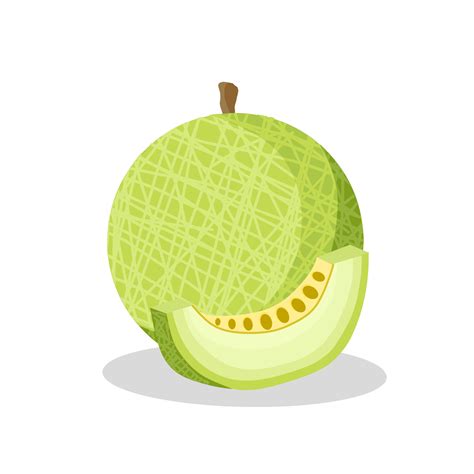 Melon Fruit Illustration Image Melon Fruit Icon Fruits 9195560 Vector