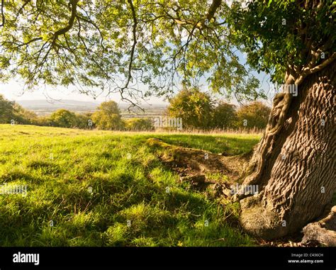 Scenic English Countryside View On A Sunny Day Stock Photo Alamy