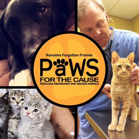 Paws for the Cause