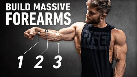 how to build huge forearms optimal training explained 5 best exercises bodybuilding fitnes