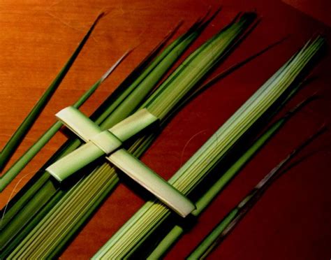 In My Shoes A Palm Sunday Project Palm Cross Palm Sunday Palm